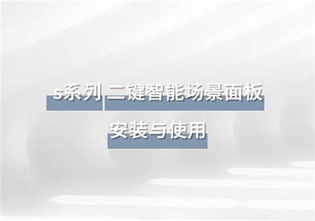 S系列 二键智能场景面板 | RW-SPS2A